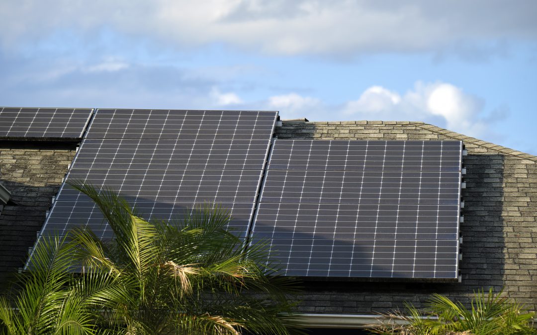 Top 10 Solar Installers in Davie, Florida (2025)